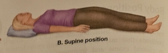 <p>Supine Position</p>