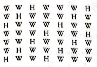 <p>A scale containing five whole steps and two half steps</p>