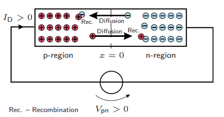 <ul><li><p>Electric field in the junction decreased </p></li><li><p>Diffusion dominates </p></li><li><p>Depletion zone gets smallers</p></li><li><p>Electron flow in the p-region leads to recombination</p></li><li><p>Electric potential decreses (flow decreses the “will“ of charge carriers to cross the junction, since they are already crossing)</p></li></ul><p></p>