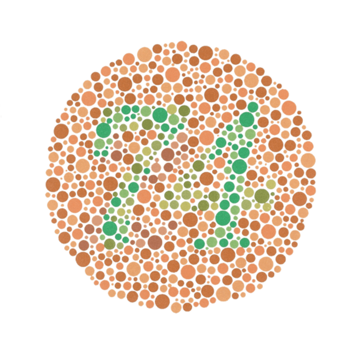 <p>Red &amp; green cannot be distinguished; men inherit the recessive allele on their X chromosome; rare in female; hemophilia (disease characterized by the inability to clot blood)</p>