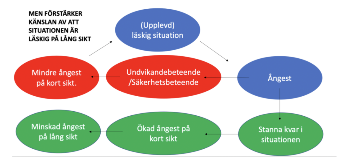 <p>Säkerhetsbeteenden och undvikande leder till mer ångest på sikt. </p>
