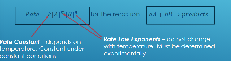 <p>Image<br><br><span>Rate=k[Reactant&nbsp;1]m[Reactant&nbsp;2]n</span><br><br>Rate laws are based on <strong>reactant concentrations</strong>.</p><ul><li><p>If the <strong>reaction is irreversible</strong> or the reverse is negligible, <strong>product concentrations do not appear</strong>.</p></li></ul><p><strong>Why products don’t appear</strong> </p><ul><li><p>Reaction rate depends <strong>only on the mechanism of the forward reaction</strong>.</p></li><li><p>The <strong>products don’t affect how fast reactants react</strong> (unless there’s a reverse reaction involved).</p></li></ul><p></p>