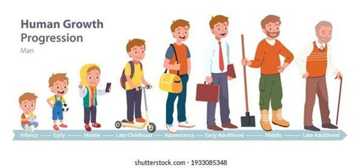 <p>Cephalocaudal, proximodistal, and gross to fine motor skills.</p>