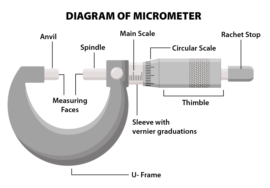 <ul><li><p>main scale on the shaft</p></li><li><p>fractional / thimble scale on the rotating barrel / thimble</p></li><li><p>50 divisions on the barrel, so one rotation of the barrel moves the end of the barrel 0.5 mm along the shaft</p></li><li><p>each division represents 0.5 / 50 = 0.01 mm</p></li></ul><p></p>
