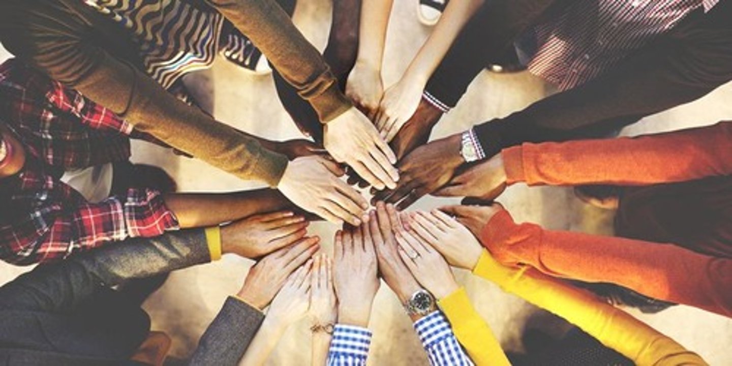 <p>A situation where different cultures work together, forging a national identity.</p>