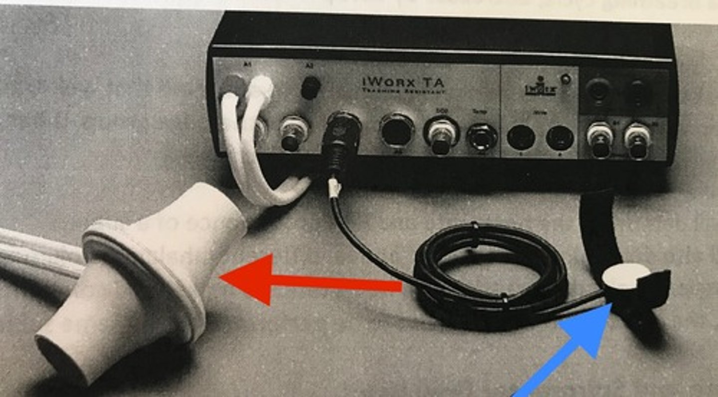 <p>What is the blue arrow pointing to?</p>