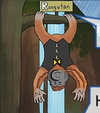 term image