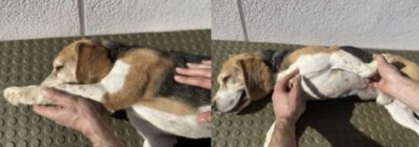 <p>what is happening here ?</p>