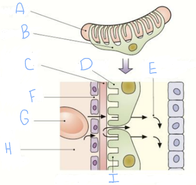 name structure I