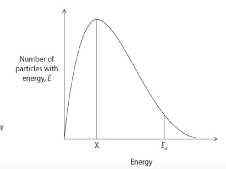 <p>What does position x represent?</p>