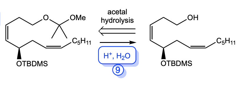 H+, H2O