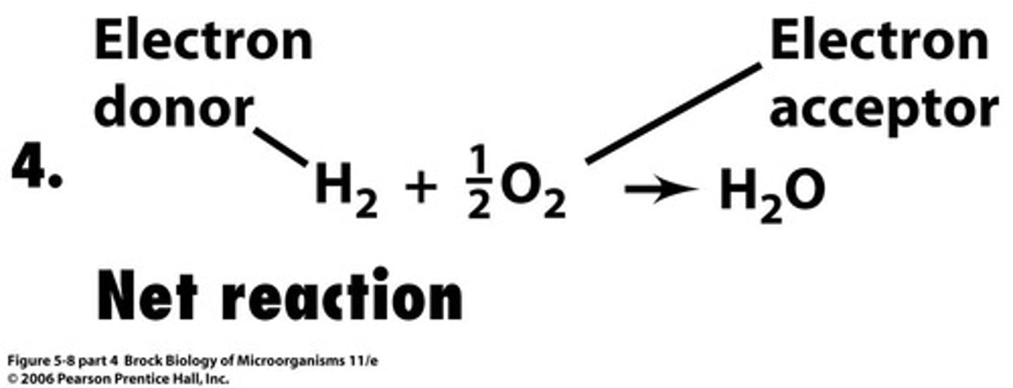 <p>Reactions that involve the transfer of electrons from electron donor to electron acceptor.</p>