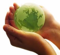 the environment