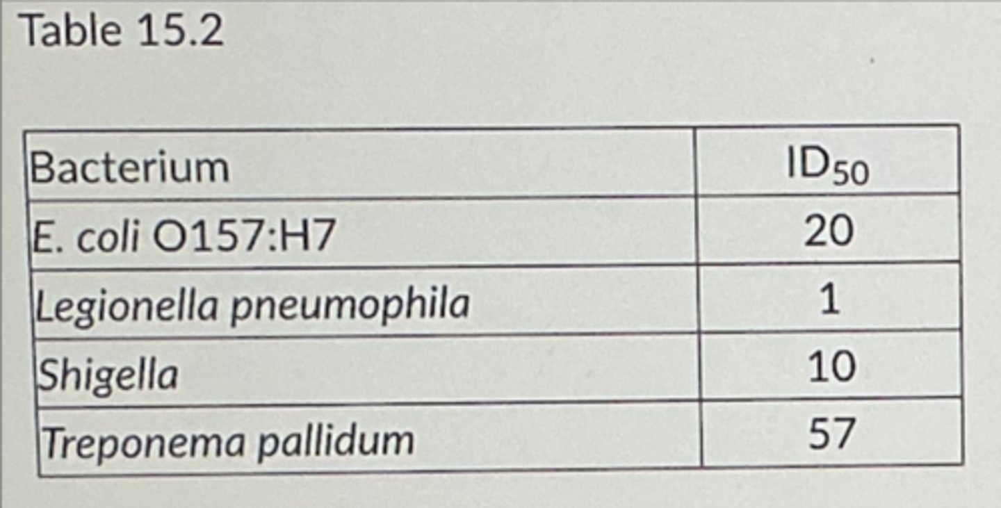 <p>Legionella pneumophila</p>