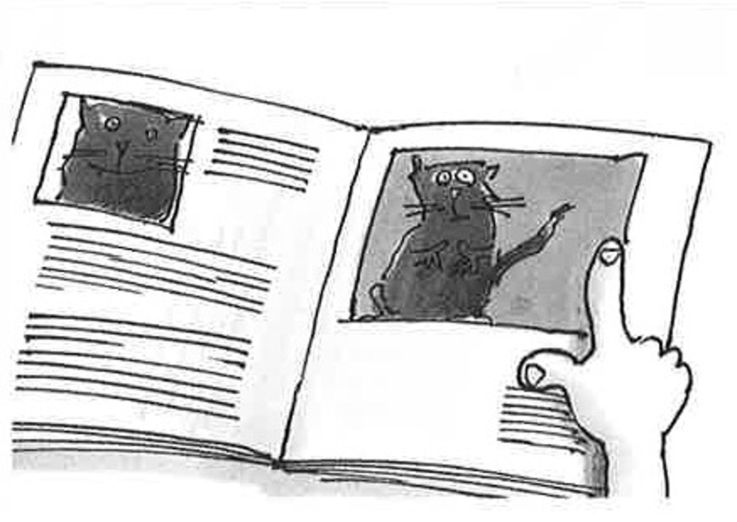 <p>image, picture</p>