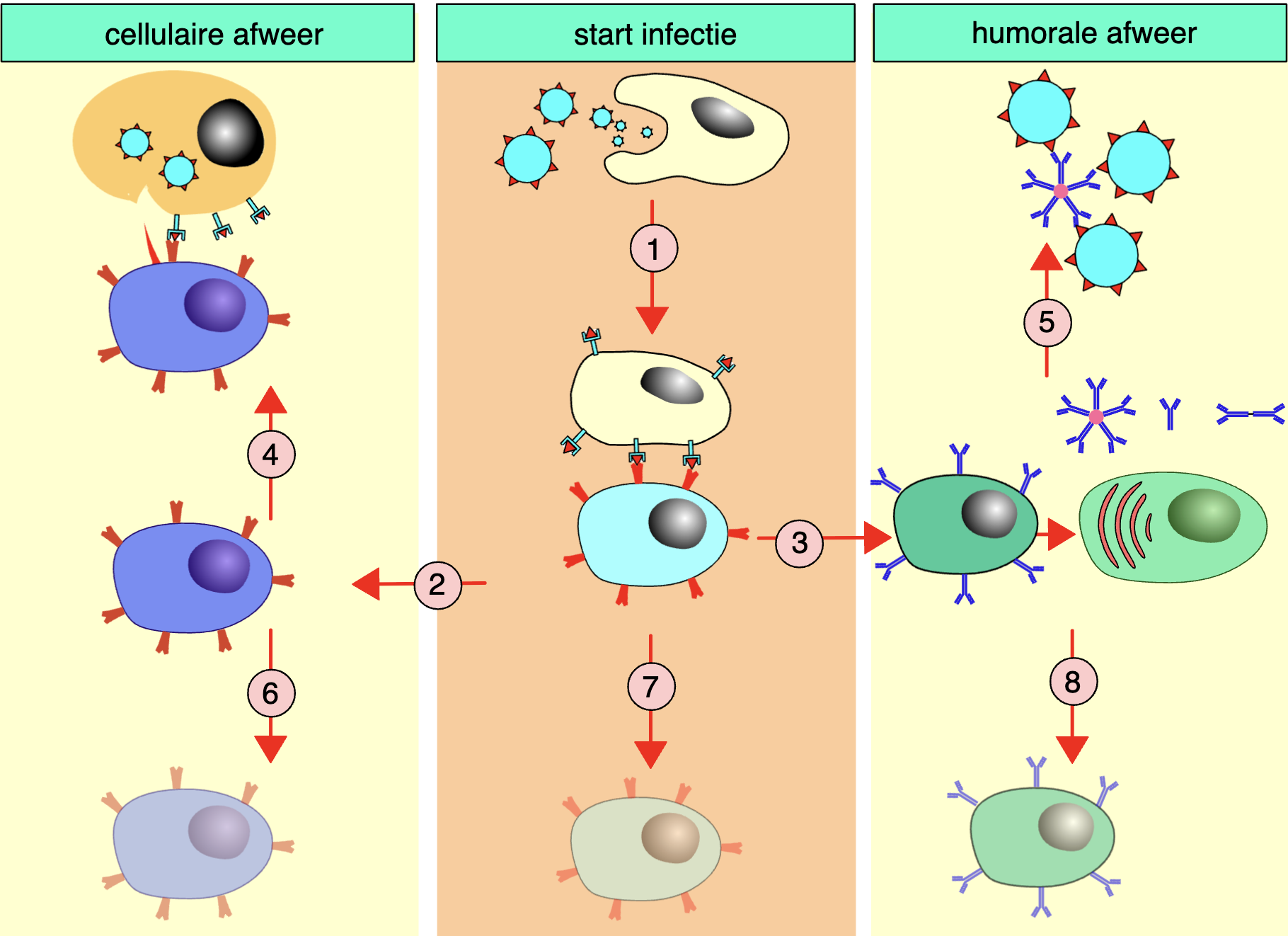 <p>De mogelijkheid om een bekende ziekteverwekker sneller te herkennen en te bestrijden.</p>