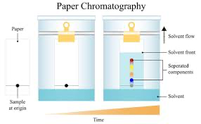 <p>What is <strong>chromatography</strong>?</p>