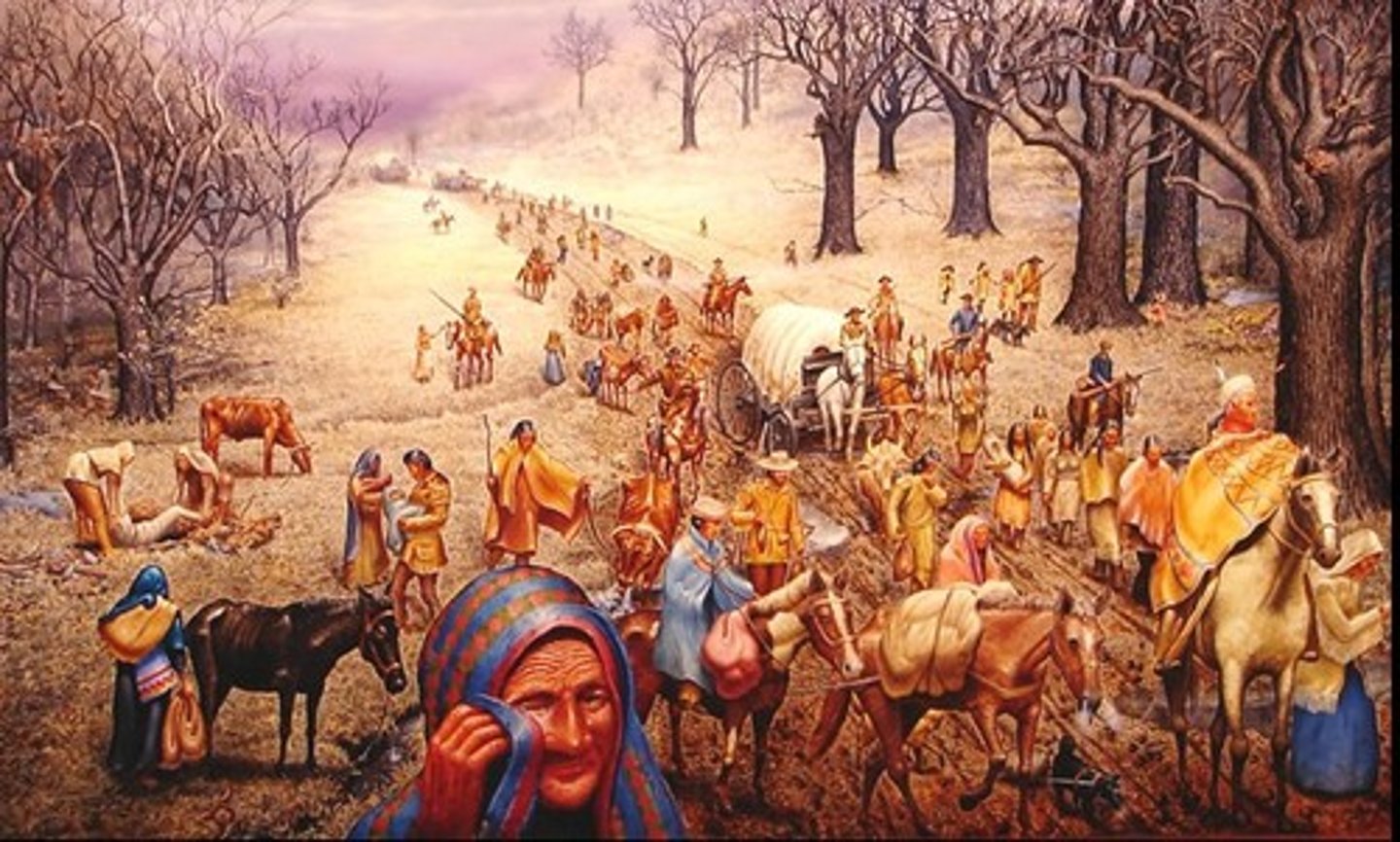 <p>The Cherokee Indians were forced to leave their lands. They traveled from Georgia through TN, KY, IL, MO, and AR-more than 800 miles -to OK. More than 4,000 Cherokees died of cold, disease, and lack of food during the 116-day journey.</p>