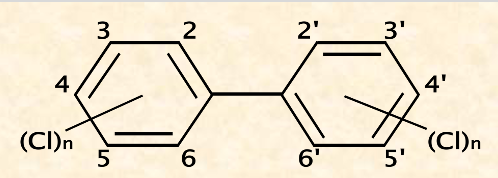 * 209 congeners (related chemicals)
* very stable, not easily biodegraded, low flammability

\
**Uses:**

* industrial lubricants
* heat conductors in transformers plasticizers

\
**Problem:**

* PCBs  = definite carcinogens in humans
* binds strongly to soil → very toxic + persistent, not easily biodegraded
* higher chlorination → higher lipophilicity → bioaccumulate up food webs
* transplacental transference to fetus: transferred to breastmilk → developmental learning in fetus → implicated in learning disabilities