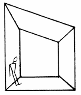<p>Ceiling Type</p>