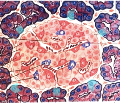 <p>One purp cell from caterpillar</p>