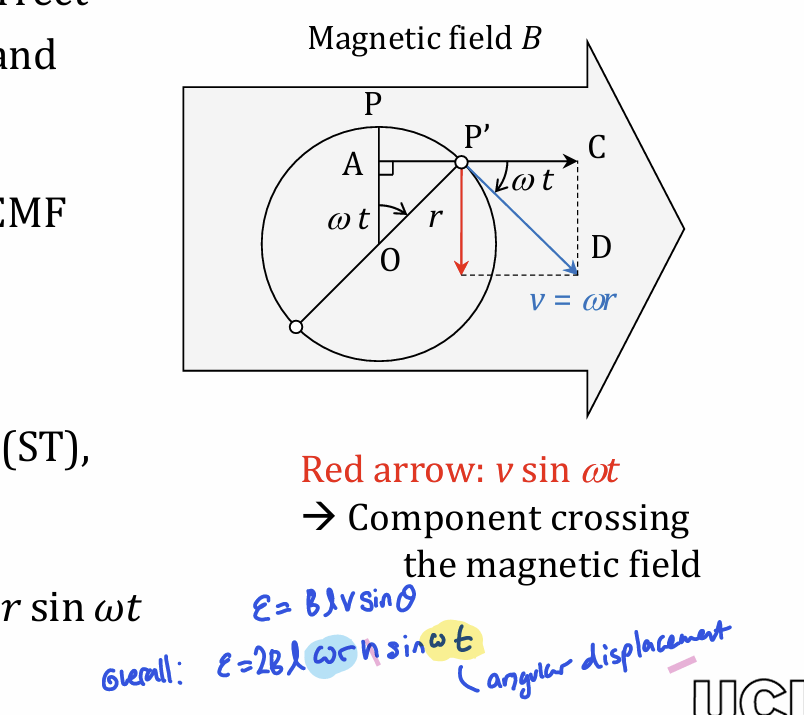 <ul><li><p>transducer use energy of rotation of sensing shaft to generate electric output via electromagnetic induction</p></li><li><p>when conductor is moving perpendicular to field, emf is maximum as theta=90 and voltage=Blv</p></li></ul><p></p>