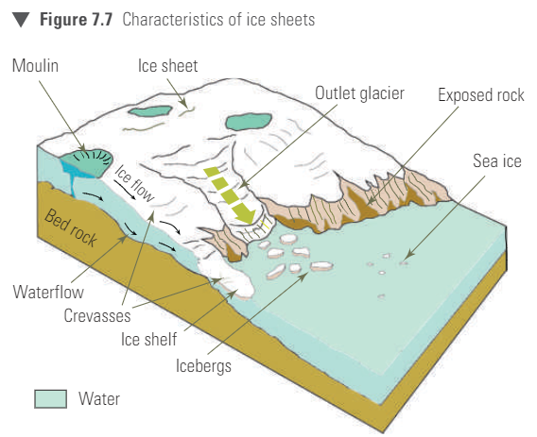<p>Outlet Glacier</p><p>Ice Shelf</p><p>Icebergs </p><p>Exposed rock</p><p>Sea Ice</p><p>Moulin</p>