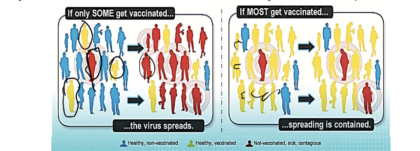 <p>Herd immunity</p>