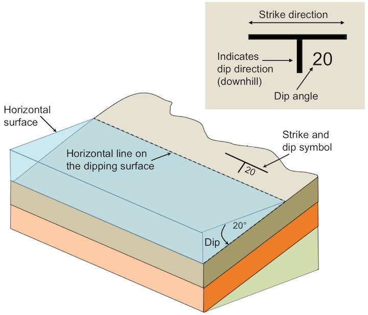 <ul><li><p><strong>Definition:</strong> The <strong>compass direction</strong> of a horizontal line on an inclined plane. It represents the orientation of a rock layer, fault, or fold relative to North.</p></li><li><p><strong>Measurement:</strong></p><ul><li><p>Measured in degrees <strong>relative to true North (0°–360°)</strong> using a <strong>compass</strong>.</p></li><li><p>Always recorded as the <strong>azimuth (e.g., 120° E of N)</strong> or a cardinal direction (e.g., N30°E).</p></li></ul></li></ul><p></p>
