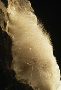 <p>Hair-like, fine formations</p>