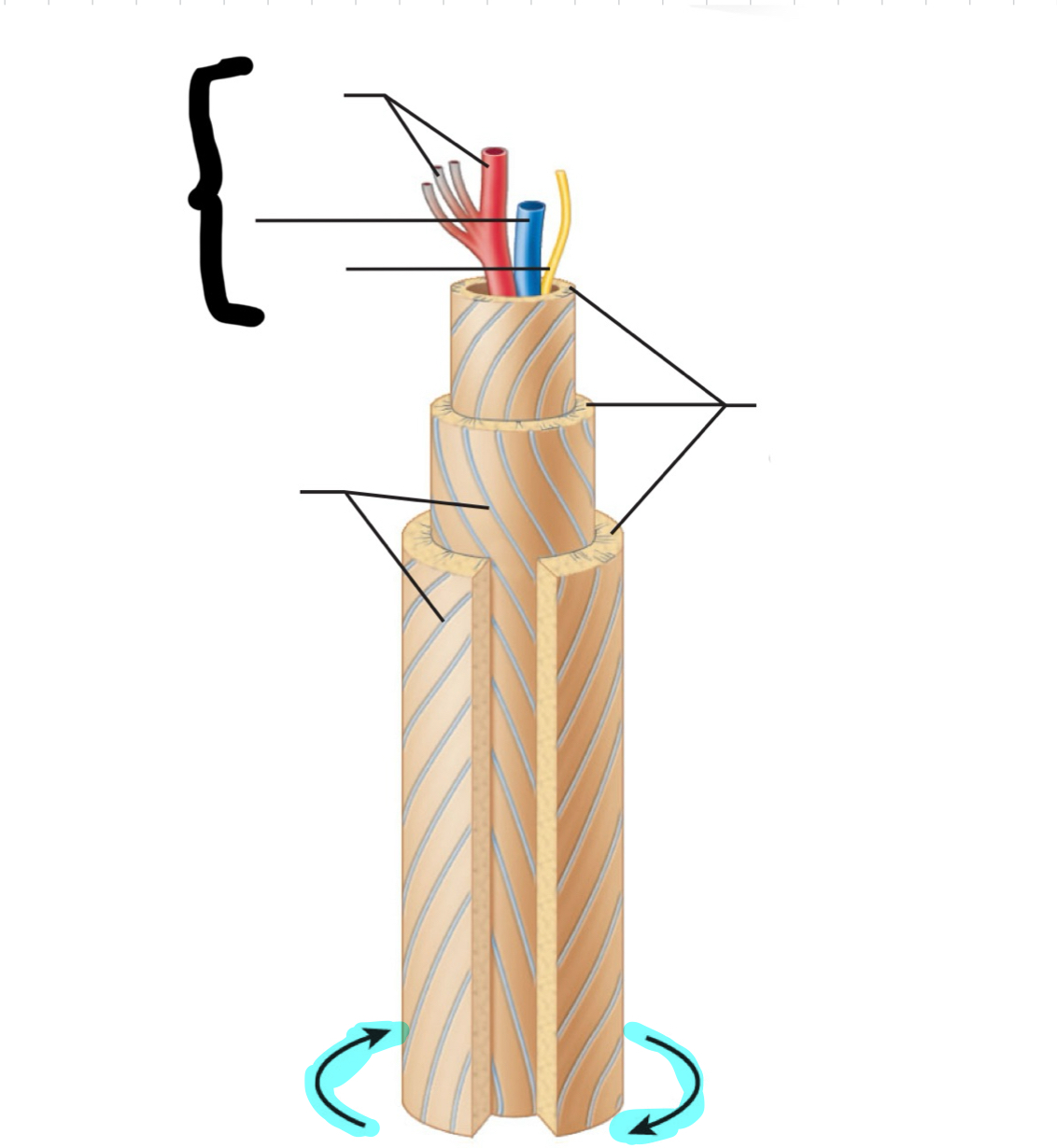 term image