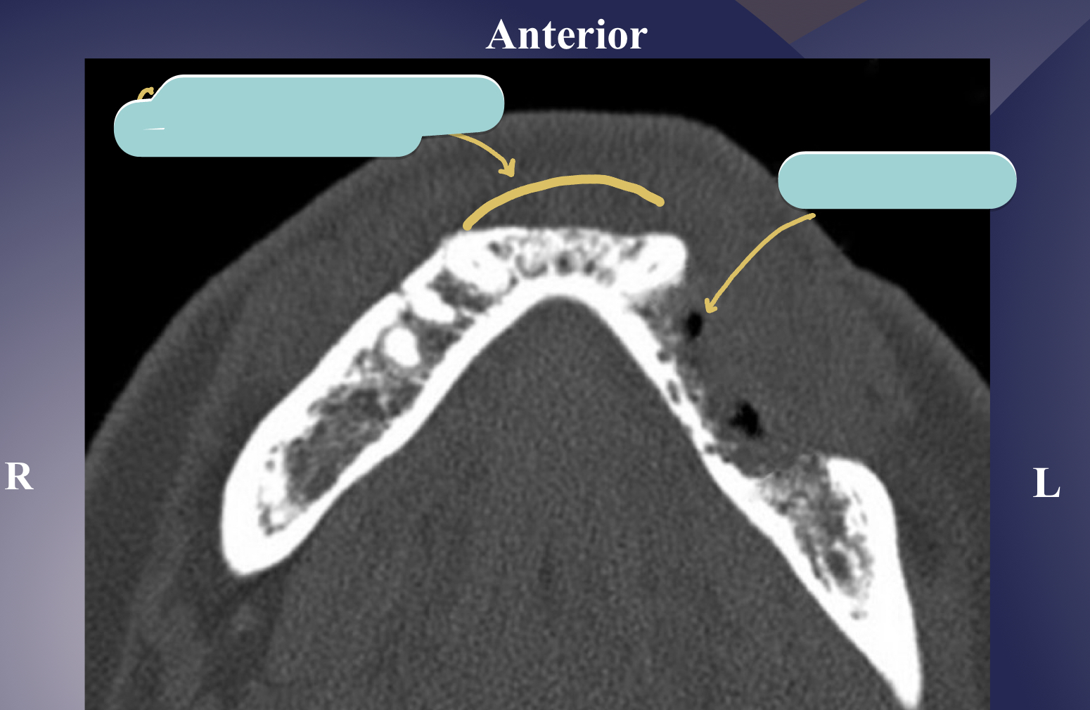 <p>what’s going on here?</p>