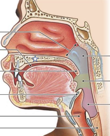 <p>What is this structure?</p>