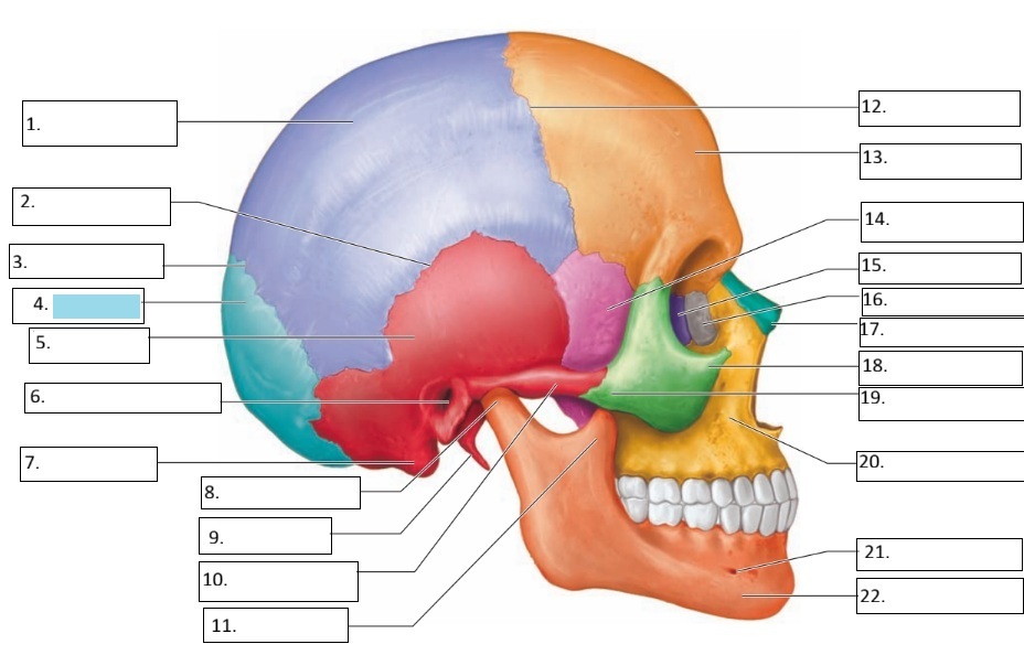 <p>4</p>