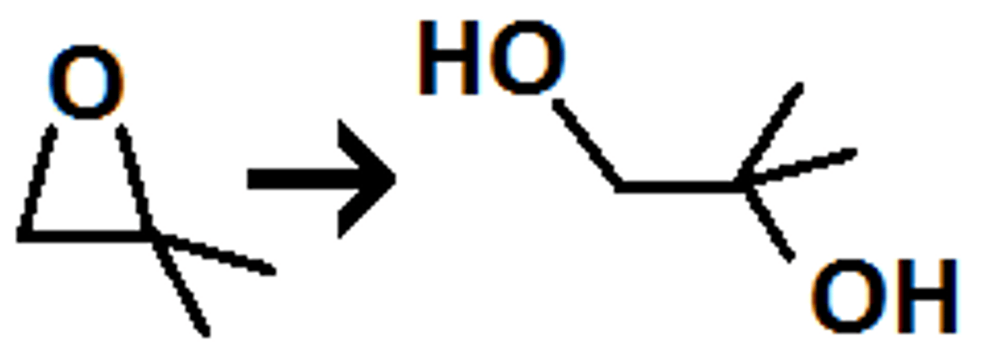 <p>opens up epoxides to two OH groups (wedge and dash)</p>