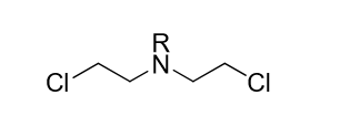 <p>a (pictured is an example) </p><p></p><p>(FYI: the central amine group is also called a bis-beta-haloalkylamine)</p>