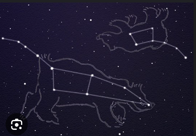 <p><strong>COMMON STARS &amp; CONSTELLATIONS:</strong></p><p>Little Bear &amp; contains the Little Dipper;</p><p>has Polaris;</p><p>in the Northern hemisphere</p>