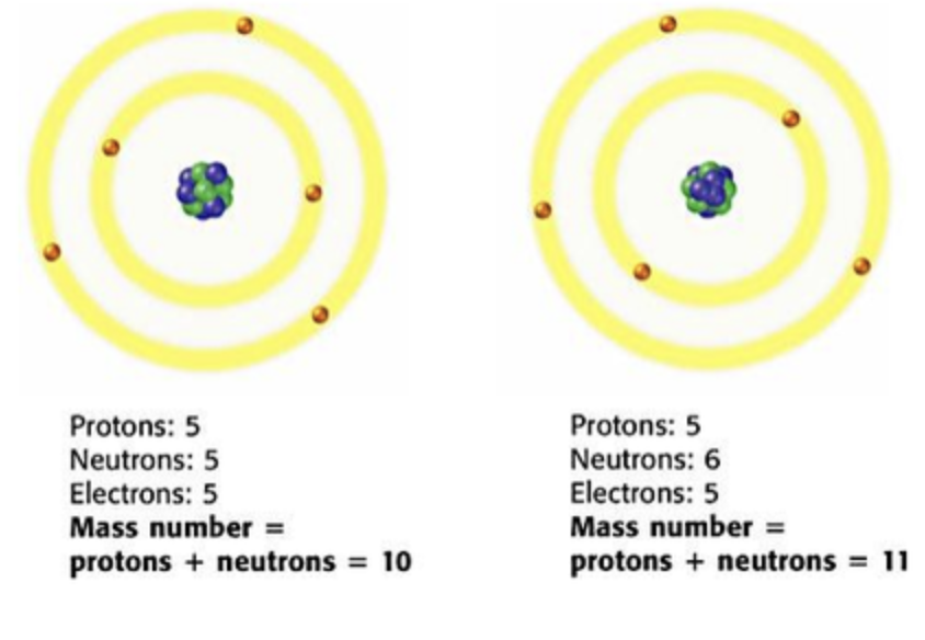 <p><span>If the average atomic mass of boron&nbsp;in nature is 10.81 amu,&nbsp;which isotope must have a higher percent composition in nature?</span></p>