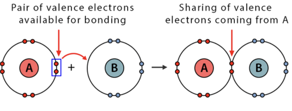 <p><strong>a covalent bond (a shared pair of electrons) in which both electrons come from the same atom</strong><span>. </span></p><ul><li><p>One electron has DONATED its shared electron pair to the other atom to form a covalent bond. </p></li></ul>