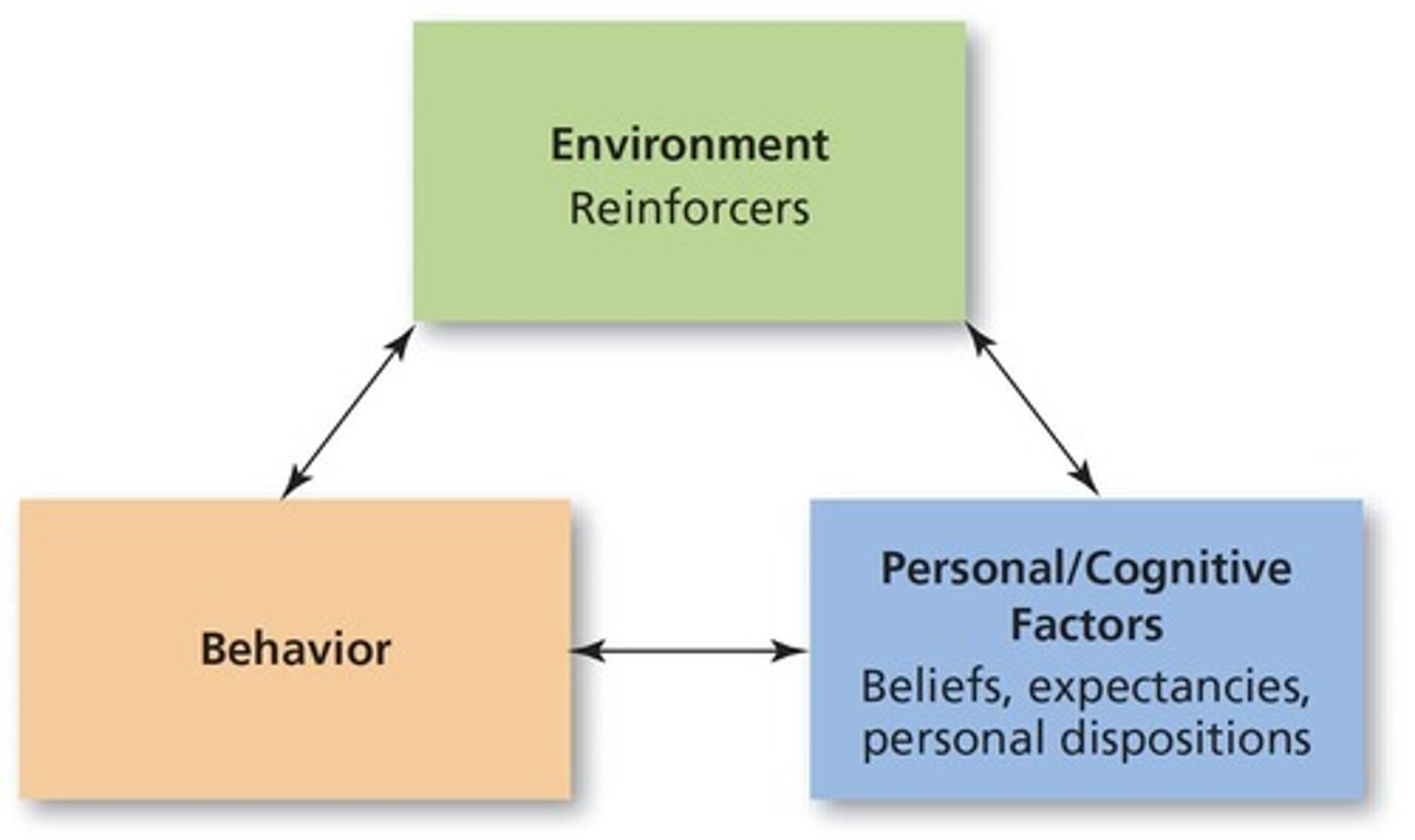 <p>Bandura's explanation of how the factors of environment, personal characteristics, and behavior can interact to determine future behavior.</p>