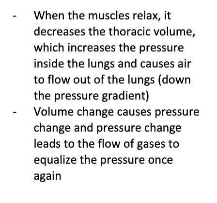 a mechanical process that occurs when the pressure in the lungs is greater than the atmosphere’s; “breathing out”