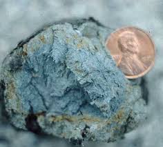 <p>What indicates wetland hydrology?</p>