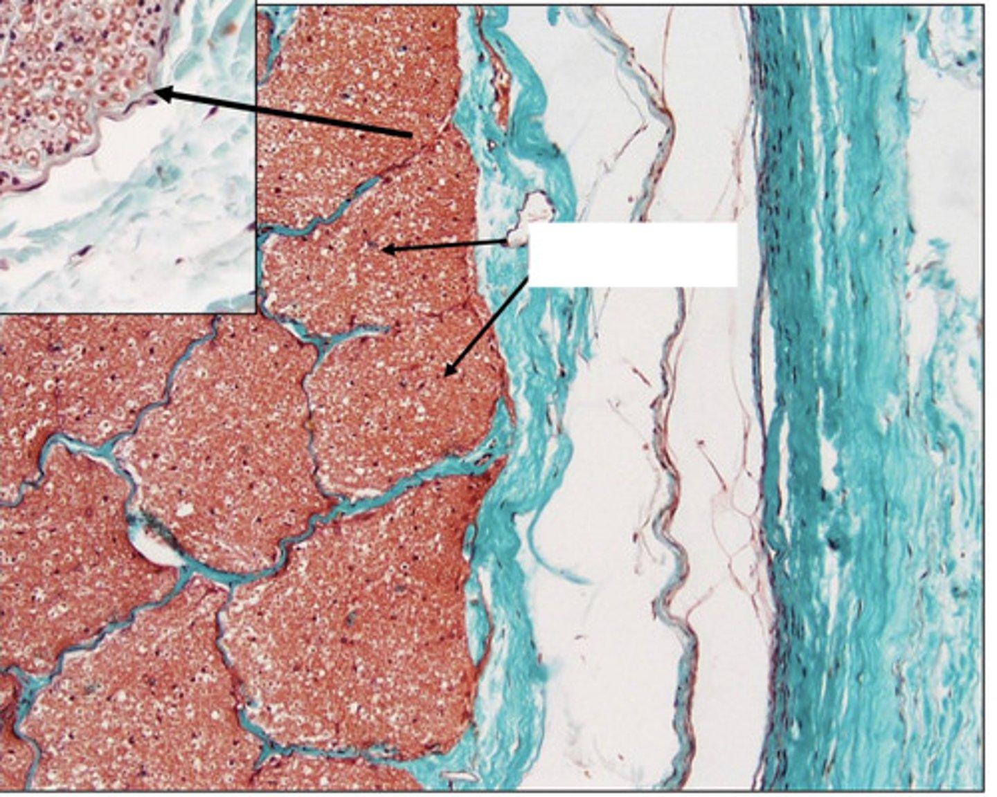 <p>what are these?</p>