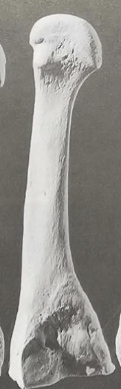 <p>see image</p>