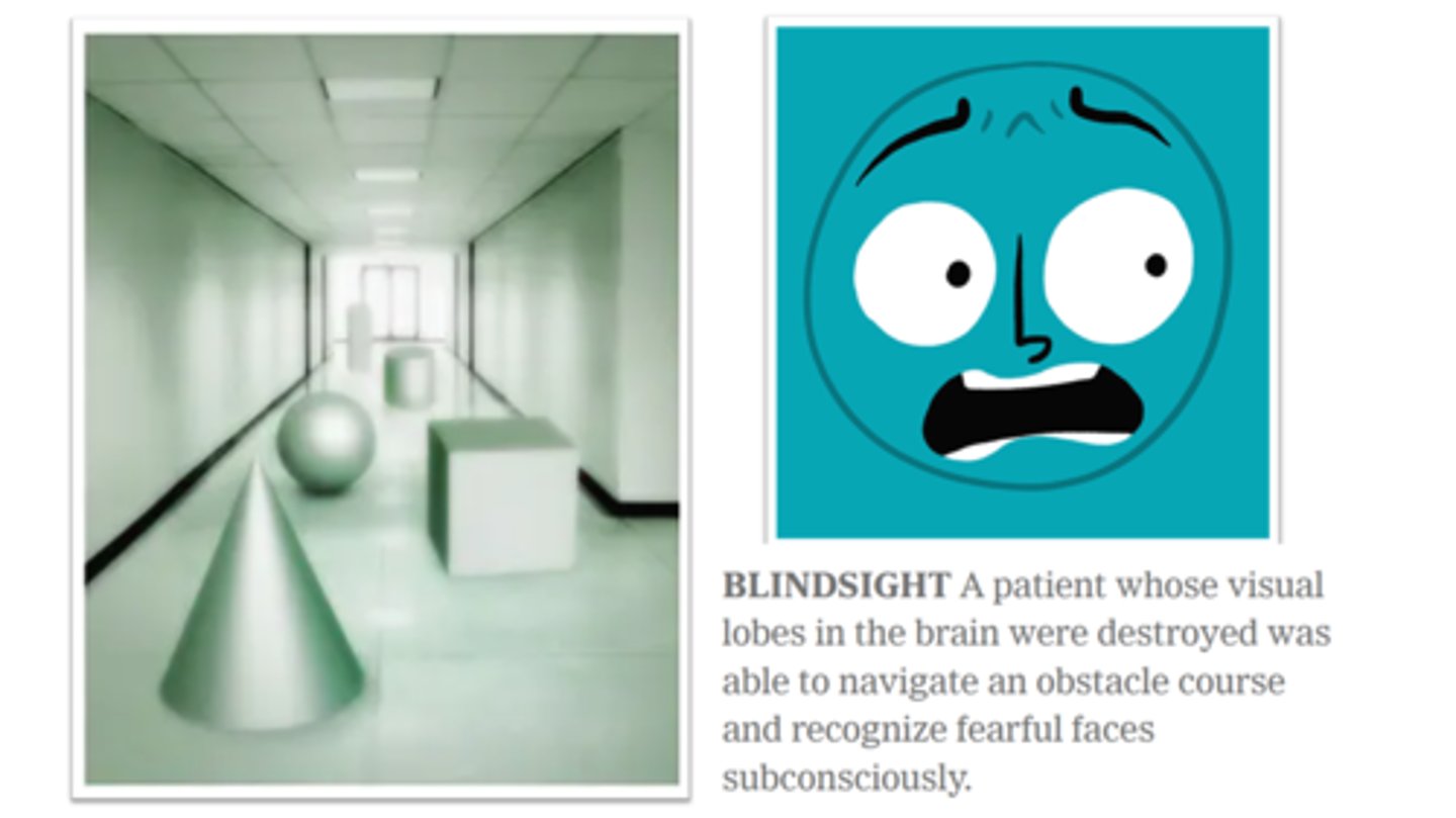 <p>a VERY RARE condition in which a person can respond to a visual stimulus without consciously experiencing it </p><p>Caused by specific damage to the visual cortex and other parts of the brain are not effected by the damage</p><p>Example: one blind sight patient can go through an obstacle course without running into objects, even though he can't see anything</p><p>Example: another will look at a picture of a face, but even though he sees nothing, he can identify the emotion</p>