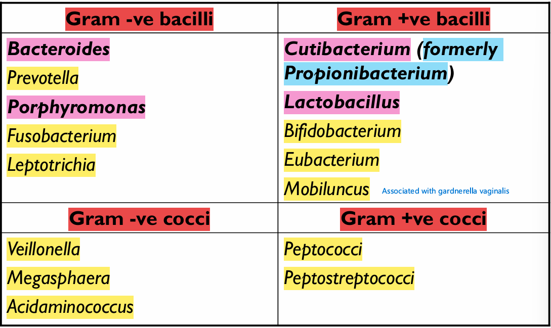 <p>BLAME MPPP CLAMP VF</p>