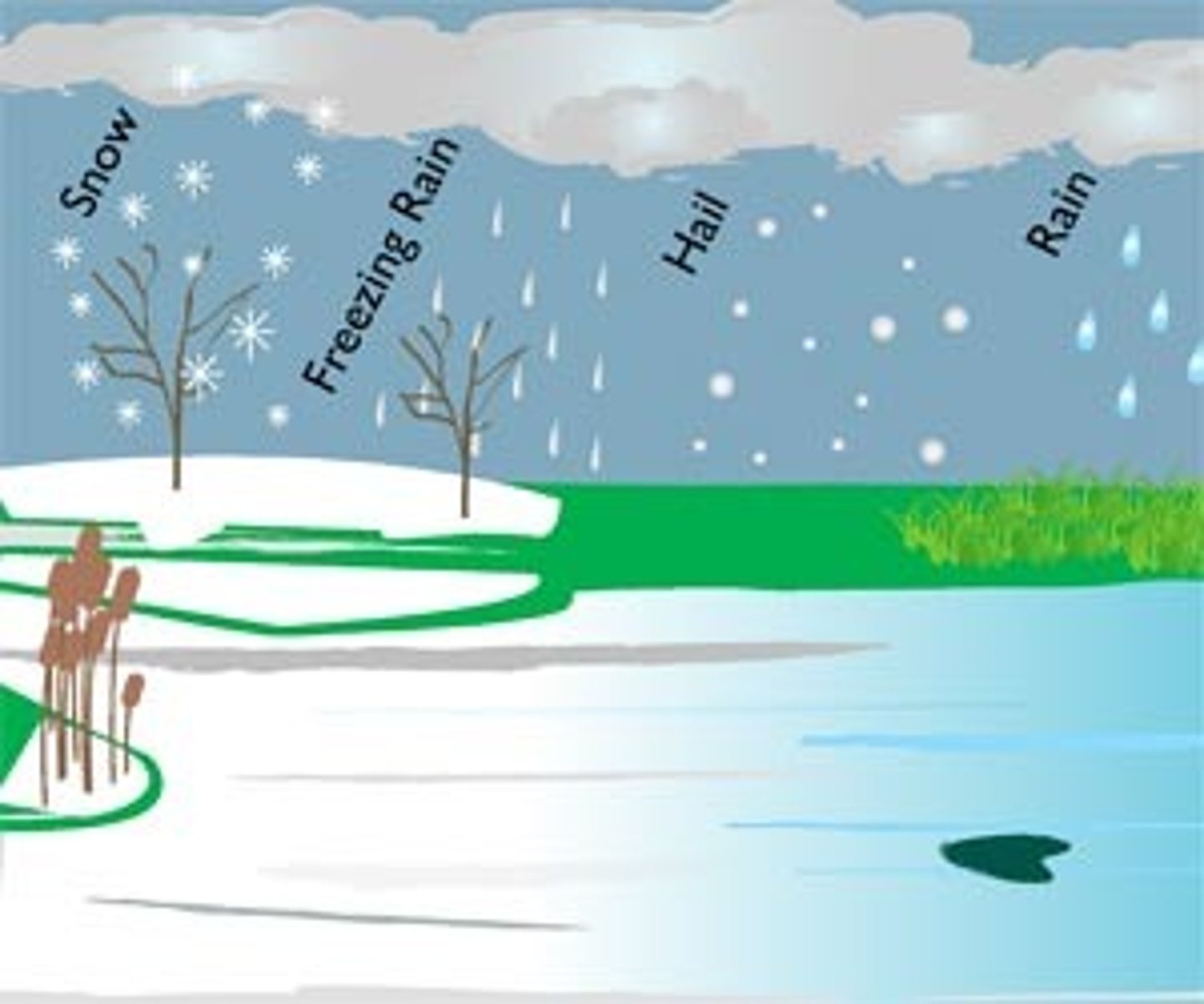 <p>states of water falling from the sky due to gravity (rain, snow, hail, sleet or mist)</p>