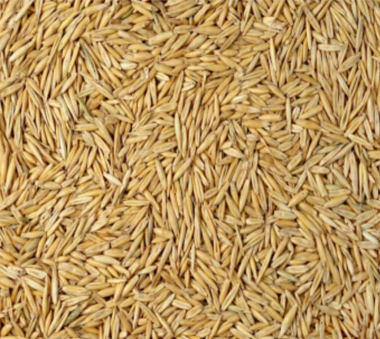 <p>Identify this feed </p>