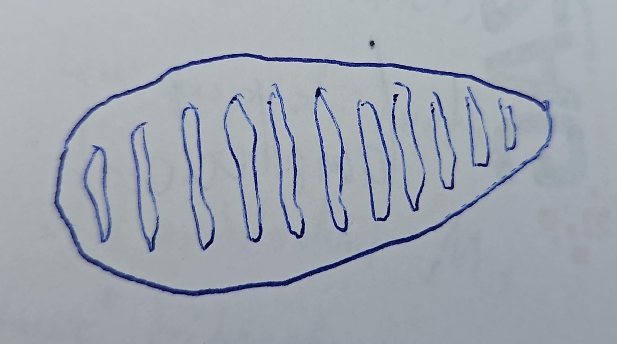 knowt flashcard image