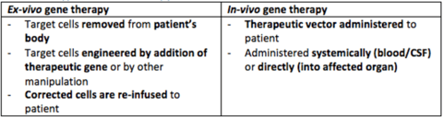 <p>Therapeutic vector is administered to patient directly (systemically - blood/CSF or directly into affected organ)</p>